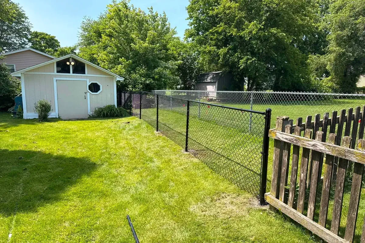 Black chainlink fence and gate enclosing a backyard beside a shed